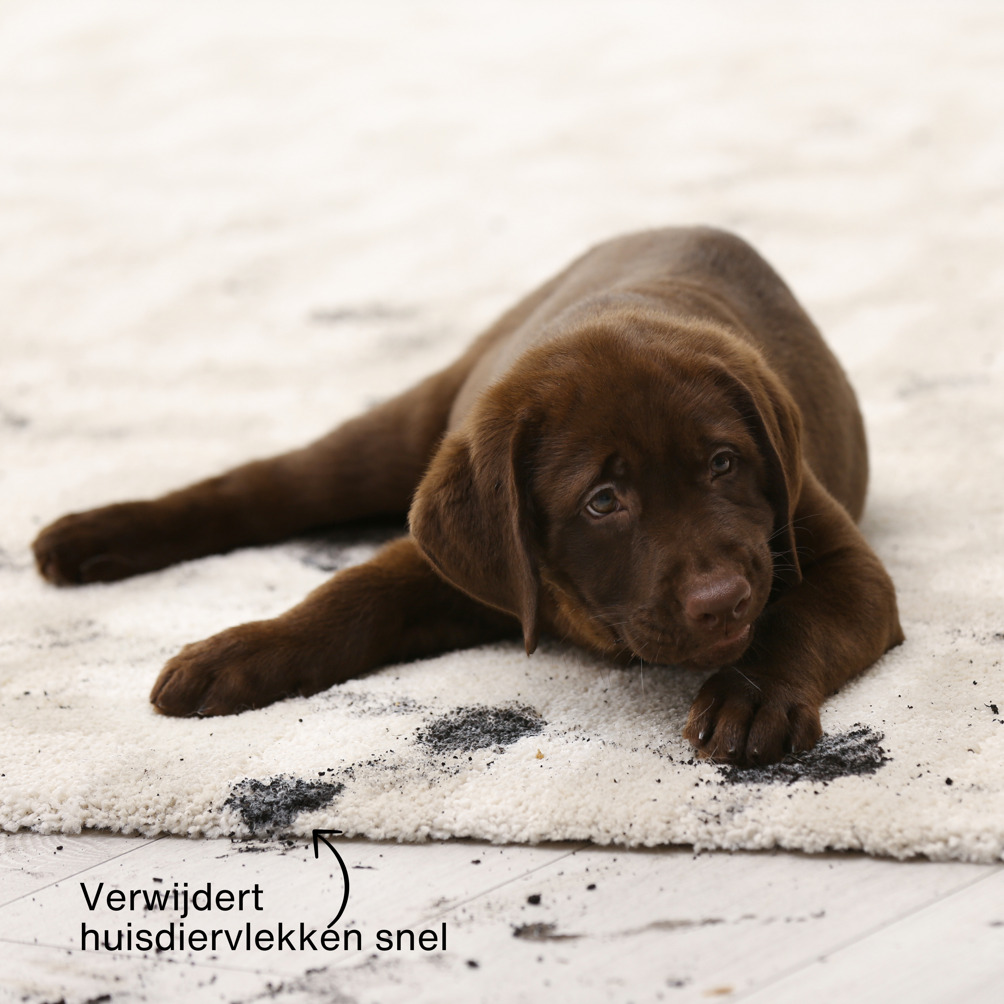 Achaté Vlekkenreiniger PRO met Stoom & Heet water