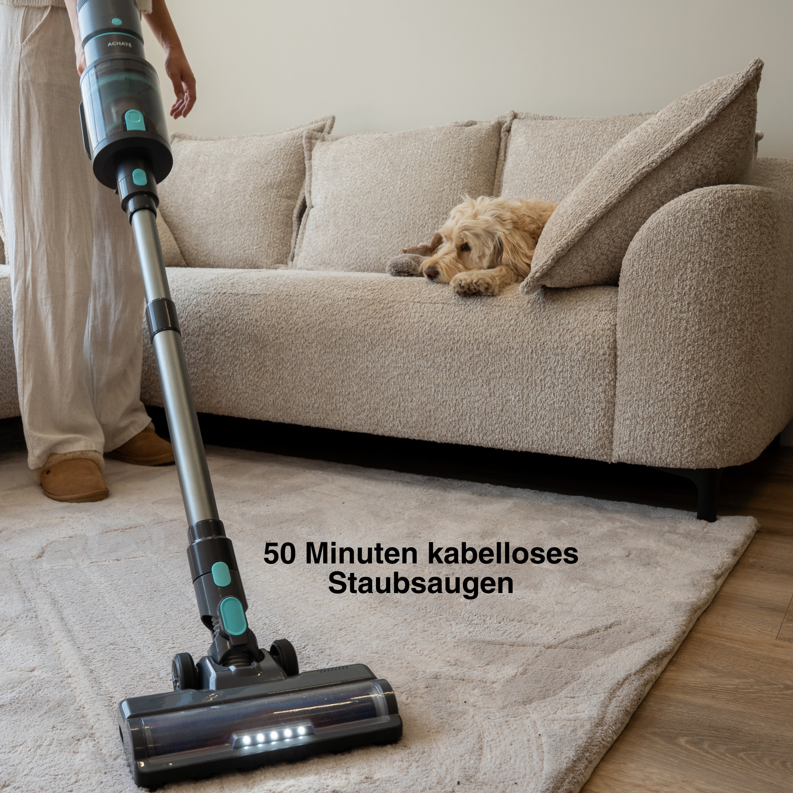 Dampf- & Reinigungsbündel