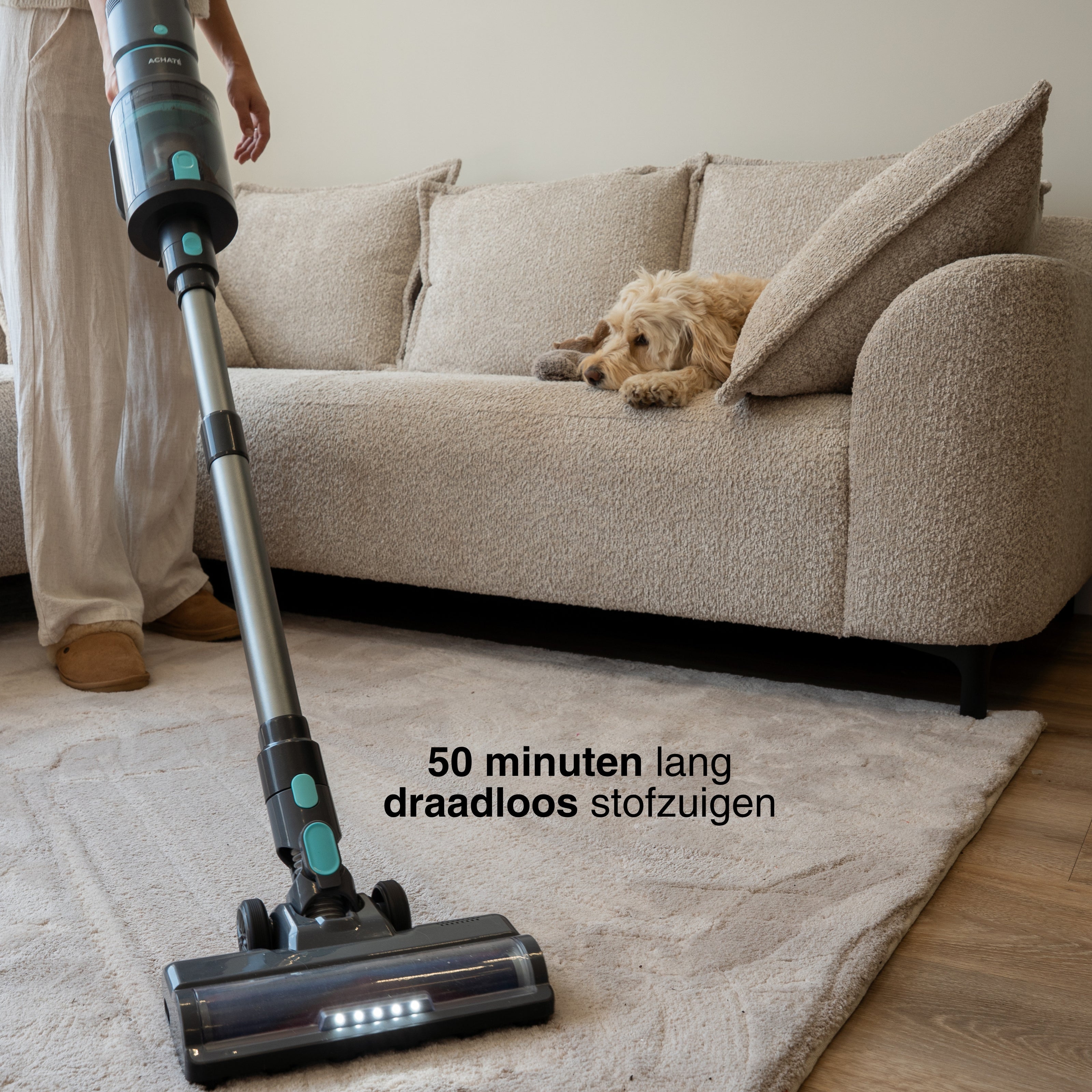 Steam & Clean bundel