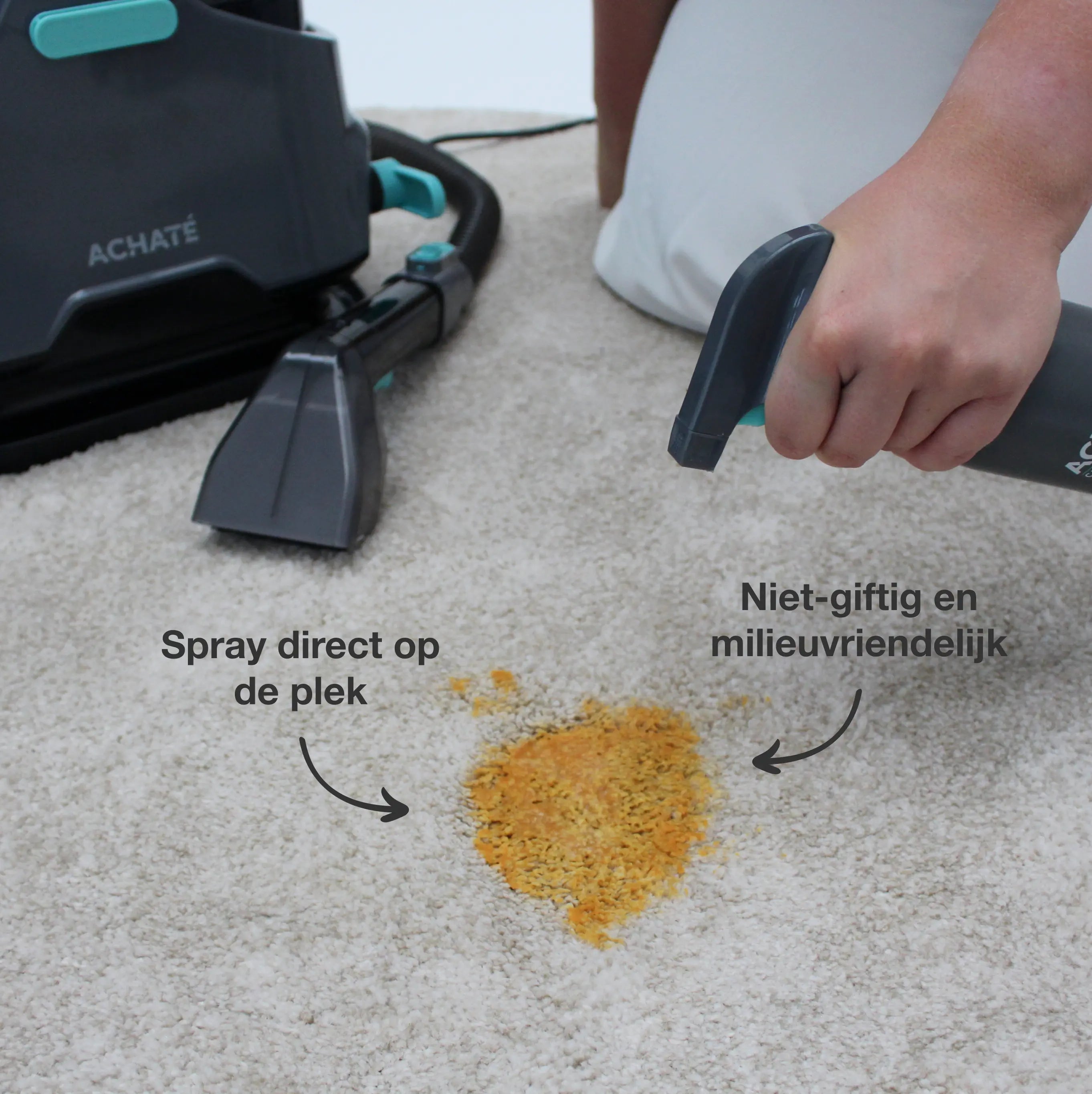 Clean and Fresh Stain Cleaner