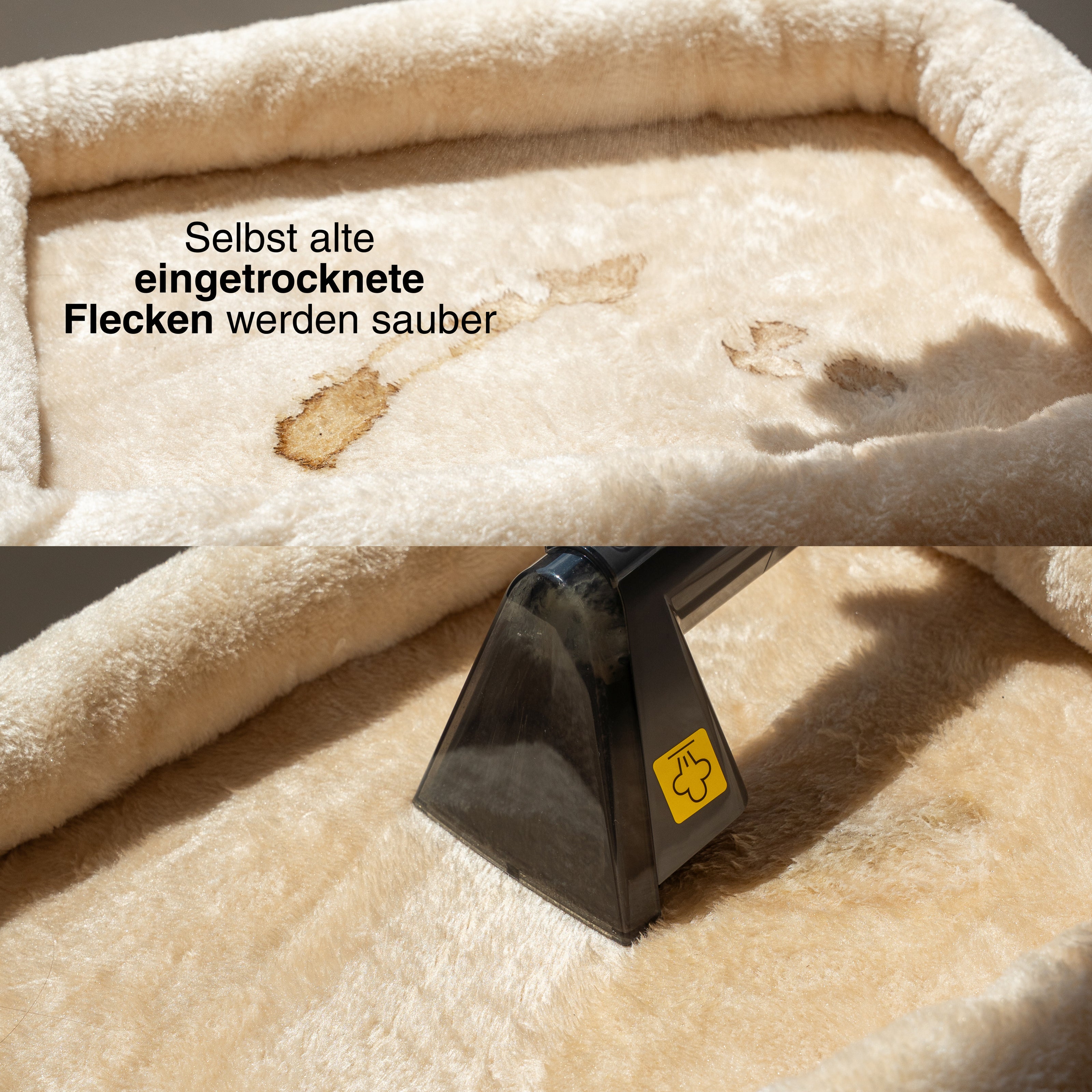 Achaté Waschsauger mit Dampf und heißem Wasser