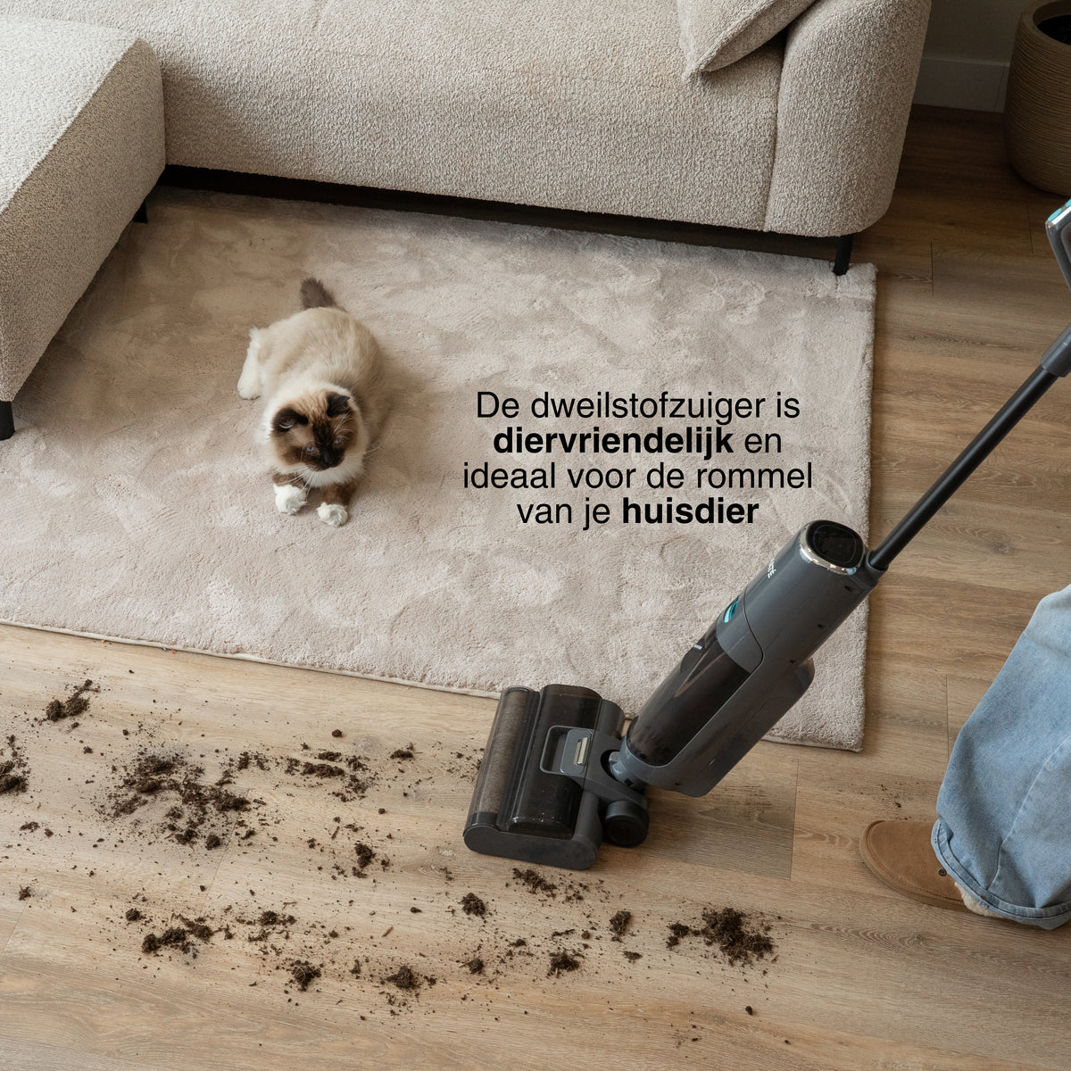 Lightweight cordless stick vacuum cleaner removing pet hair and dirt from a beige rug and wooden floor next to a sofa and a cat.