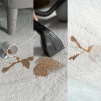Achaté Spot Cleaner
