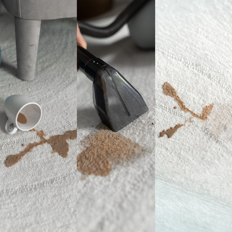 Achaté Spot Cleaner