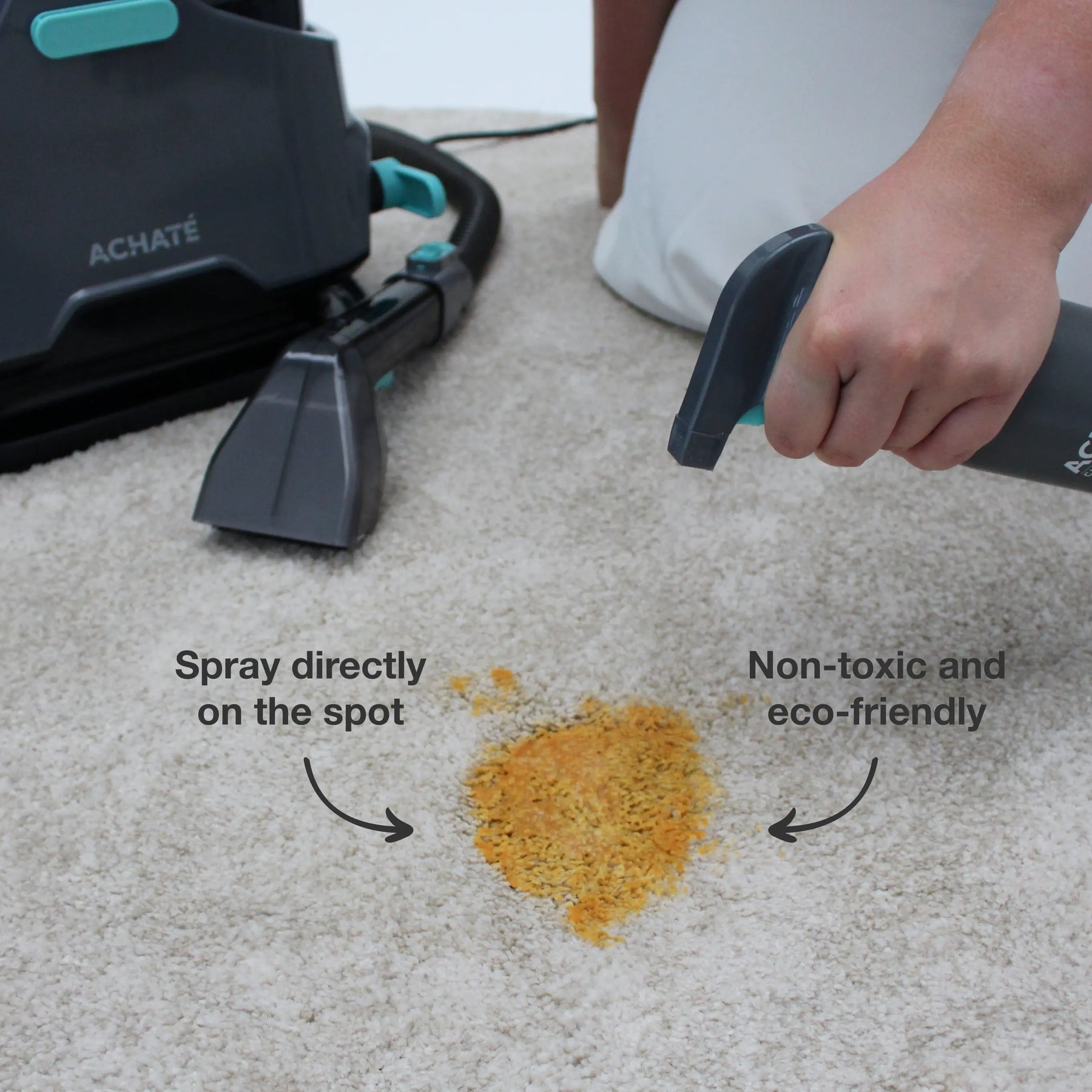 Spray Clean and Fresh Stain Cleaner