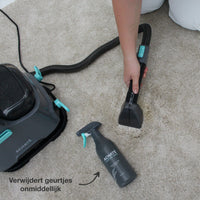 Clean and Fresh Stain Cleaner