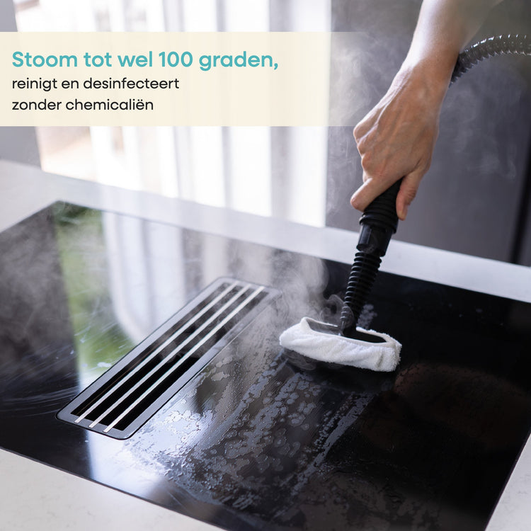 Achaté Handstoomreiniger met stoom tot wel 100 graden