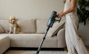Person using a cordless stick vacuum cleaner with a large water tank to clean a carpeted floor near a beige sofa where a small dog is sitting.