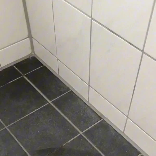 Klantfoto Achaté Stoomreiniger PRO V2